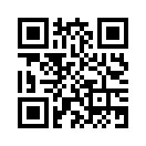 QR CODE 553