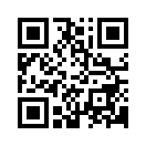 QR CODE 687