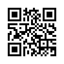 QR CODE 737