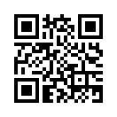 QR CODE 913