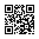 QR CODE 1033