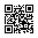 QR CODE 1038