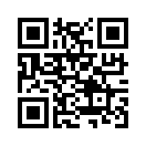 QR CODE 110