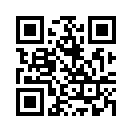 QR CODE 31