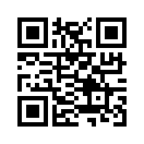 QR CODE 336