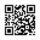 QR CODE 42