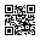 QR CODE 529