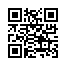 QR CODE 734