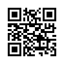 QR CODE 995