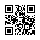 QR CODE 31