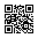 QR CODE 42