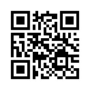 QR CODE 43