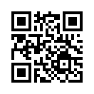 QR CODE 53