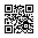 QR CODE 61