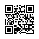 QR CODE 31
