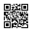 QR CODE 53