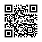 QR CODE 110