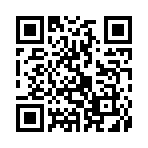 QR CODE 228