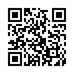 QR CODE 256