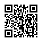QR CODE 31