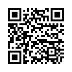 QR CODE 317