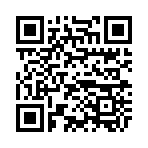 QR CODE 334