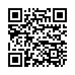 QR CODE 336