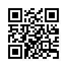 QR CODE 133