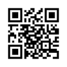 QR CODE 216