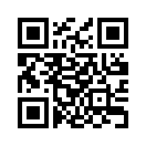 QR CODE 217