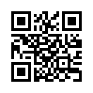 QR CODE 228