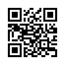 QR CODE 231