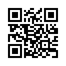 QR CODE 303