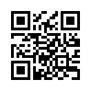 QR CODE 305