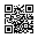 QR CODE 31