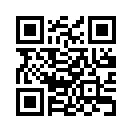 QR CODE 313
