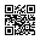 QR CODE 317