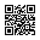 QR CODE 323