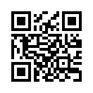 QR CODE 325