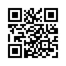 QR CODE 328