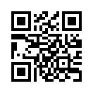 QR CODE 336