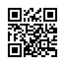 QR CODE 344