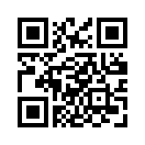 QR CODE 344