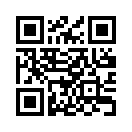 QR CODE 346