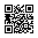 QR CODE 369