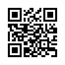 QR CODE 376