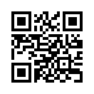 QR CODE 378