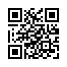 QR CODE 389