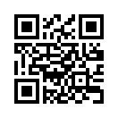 QR CODE 394