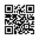 QR CODE 401